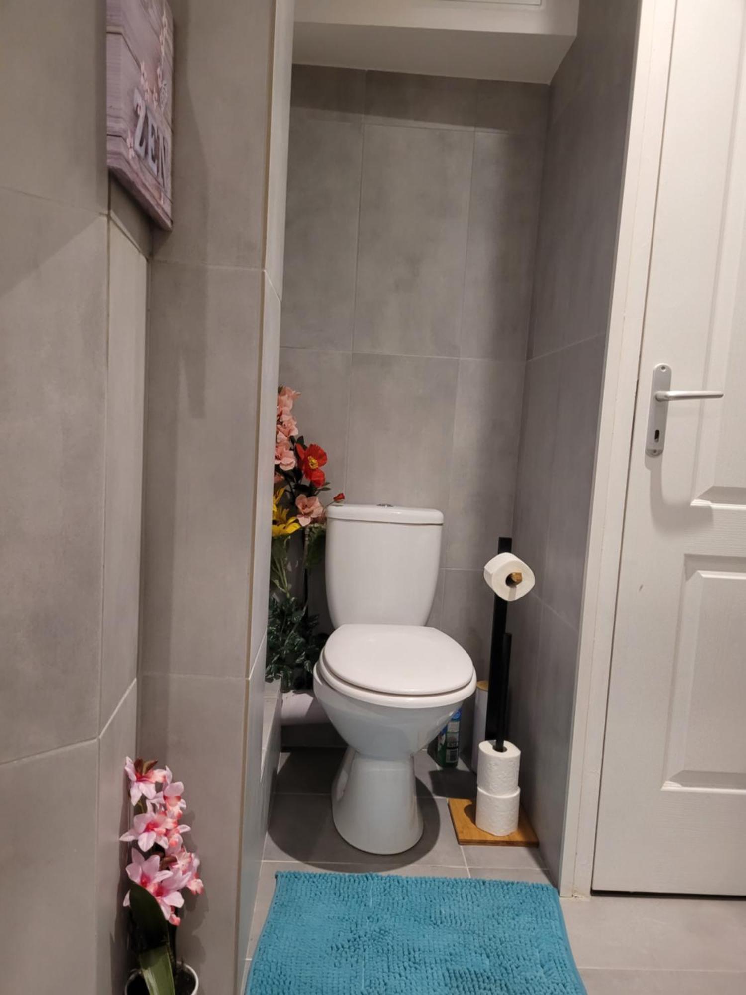 Cocooning House 211 Suite Azur Appartement Aeroport Paris Roissy Cdg, Parc Asterix, Chateau De Chantilly, Stade De France Survilliers Екстер'єр фото